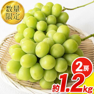 yӂ邳Ɣ[ŁzGi VC}XJbg R H{ ʌ 嗱 1.2kg or 600g 2[ 1[ Yn  ʕ Gi XC[c t[c fU[g R | ȈՕ s9{`11{