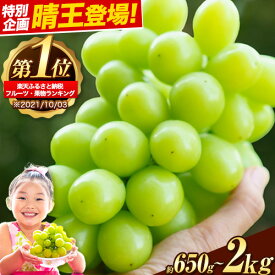 【ふるさと納税】【限定企画登場】★ランキング1位★ シャインマスカット 約650g〜 2kg 選べる内容 《9月上旬-11月中旬頃出荷》 シャインマスカット 岡山 矢掛町 マスカット 定期便 晴王 人気 期間限定 ぶどう ブドウ 旬 果物 フルーツ 送料無料 先行予約 ギフト 贈答 高評価