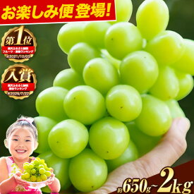 【ふるさと納税】【限定企画登場】★ランキング1位★ シャインマスカット 約650g〜 2kg 選べる内容 ぶどうお楽しみ便登場！《9月上旬-11月中旬頃出荷》 シャインマスカット 岡山 矢掛 マスカット 定期便 晴王 人気 期間限定 ぶどう ブドウ 旬 果物 フルーツ 送料無料 高評価