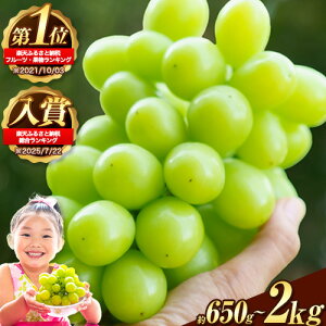 yӂ邳Ɣ[ŁzyAt^[ۏؕtIzy2026N s\zLO1ʁ VC}XJbg 650g` 2kg  Iׂe s9{-11{oׁt VC}XJbg R