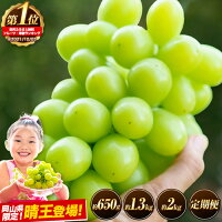 【ふるさと納税】【数量限定 晴王便！】 【アフター保証付き】★ランキング1...