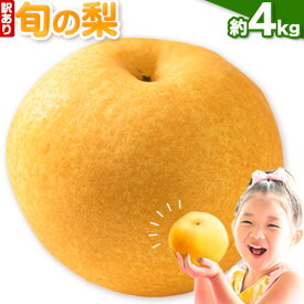 【ふるさと納税】 訳あり 旬の梨 約1.8kg 2~5玉前後 約4kg 3〜10玉前後 岡山県産 梨 訳あり 新高 愛宕 王秋梨 鴨梨 岡山 矢掛町《9月上旬-1月末頃に出荷予定》数量限定 梨 なし ナシ