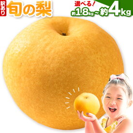 【ふるさと納税】【先行予約】訳あり 旬の梨 約1.8kg 2~5玉前後 約4kg 3〜10玉前後 岡山県産 梨 訳あり 新高 愛宕 王秋梨 鴨梨 岡山 矢掛町《9月上旬-1月末頃に出荷予定》数量限定 梨 なし ナシ