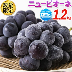 yӂ邳Ɣ[ŁzRY j[sI[l 1.2kg or 600g 2[ 1[  ʕ Gi XC[c t[c fU[g H{ R|s9{`11{ɏoח\(yj)t