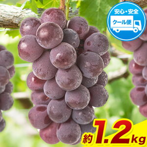 yӂ邳Ɣ[Łzys\zRY j[sI[l Iׂ 600g(1[) 1.2kg(2[)  ʕ H{ 󂠂 Di Io XC[c t[c fU[g R|s2025N9{`11