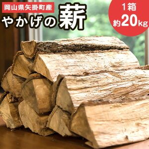 yӂ邳Ɣ[Łz₩́udv 20kg Xёg R|Ys30ȓɏoח\(yj)t d ܂ Lv pi  o[xL[