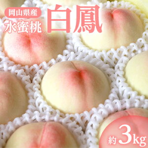 yӂ邳Ɣ[ŁzRYuP()v3kg|7{`yzsnFzy1488991z