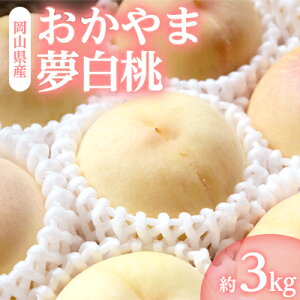 yӂ邳Ɣ[ŁzRYuܖv3kg|7{`yzsnFzy1488993z