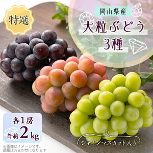 yӂ邳Ɣ[Łz1061.ys\zI嗱Ԃǂ3Zbg(VC}XJbg)10{`12\y1488997z