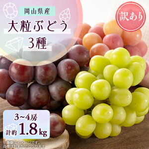 �y�ӂ邳�Ɣ[�Łz1064.�y��s�\��z�󂠂�嗱�Ԃǂ�3��Z�b�g(9�����{�`12�����{�����\��)�y1489000�z