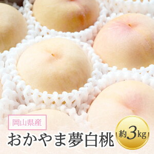 【ふるさと納税】岡山県産「おかやま夢白桃」約3kg|2026年7月下旬以降発送予定【1489035】