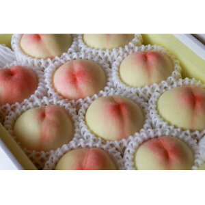 yӂ邳Ɣ[ŁzRYuPv3kg|2026N7{ȍ~\y1516931z