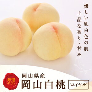 yӂ邳Ɣ[Łzy2026NzRY@ 8(2kgȏ) :C ϔ yzsnFEkCEꌧzy1546676z