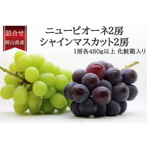 【ふるさと納税】【2026年発送】ぶどう詰合/ニューピオーネ2房・シャインマスカット晴王2房(各1房480g以上)【配送不可地域:離島】【1546684】