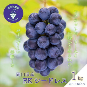 yӂ邳Ɣ[ŁzR@ԏ΂ݔ_́wBKV[hXx1kg(2`3[)@B-1y9{`zyzsnFzy1650766z