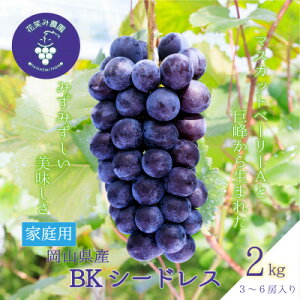 �y�ӂ邳�Ɣ[�Łz�y2026�N��s�\��z���R�@�ԏ΂ݔ_���́wBK�V�[�h���X�x�ƒ�p�@��2kg(3�`6�[)�@B-2�Ɓy�z���s�n��F�����z�y1650768�z