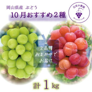 yӂ邳Ɣ[ŁzR@ԏ΂ݔ_̃uhEw10 2Zbgx(2[)2M-1Ly10`zyzsnFzy1650775z