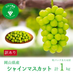 �y�ӂ邳�Ɣ[�Łz�y2026�N��s�\��z���R�@�ԏ΂ݔ_���w�󂠂�V���C���}�X�J�b�g�x1kg�@WS-1�y�z���s�n��F�����z�y1650780�z