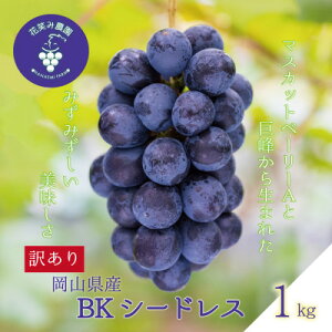 yӂ邳Ɣ[ŁzR@ԏ΂ݔ_̃uhEw󂠂BKV[hXx1kg@WB-1y9{`zyzsnFzy1650782z