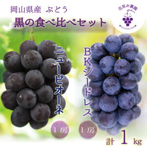 �y�ӂ邳�Ɣ[�Łz�y2026�N��s�\��z���R�@�ԏ΂ݔ_���́w�j���[�s�I�[�l&BK�V�[�h���X�x1kg(2�[)PB-1�y�z���s�n��F�����z�y1693661�z