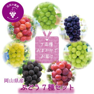 �y�ӂ邳�Ɣ[�Łz�y2026�N��s�\��z���R�@�ԏ΂ݔ_���̃u�h�E�w�H�ה��7��Z�b�g�x7M-5�y�z���s�n��F�����z�y1695982�z