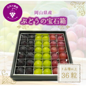 �y�ӂ邳�Ɣ[�Łz�y2026�N��s�\��z���R�@�ԏ΂ݔ_���w�u�h�E�̕�Δ��x3��ȏ�(36������)�@3M-��36�y�z���s�n��F�����z�y1696018�z