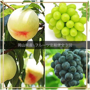 �y�ӂ邳�Ɣ[�Łz�y�������Œ����ցz���R���Y �t���[�c����֑S3��y�z���s�n��F�����E�k�C���E���ꌧ�z�y4079588�z