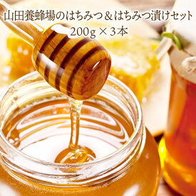 【ふるさと納税】はちみつ＆はちみつ漬けセット（87665）蜂蜜 ハチミツ 天然産物 3本 セット 3種類 アカシア ゆず しょうが 食べ比べ 国産 外国産