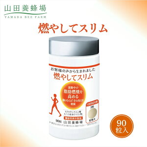 yӂ邳Ɣ[ŁzR₵ăXi28130jy006-a089z