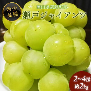 yӂ邳Ɣ[ŁzyԌz 쒬Y ˃WCAc 2kgi2`4[j | I 󏭕i ӂ邳Ɣ[  Ԃǂ uhE t[c ʕ 炲  x R 