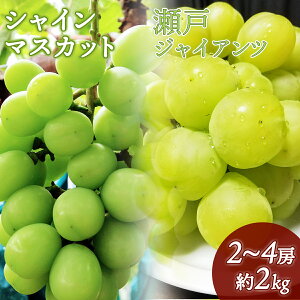 yӂ邳Ɣ[Łzyʌz쒬Y ˃WCAcVC}XJbgZbg 2kgi2`4[j | I 󏭕i ӂ邳Ɣ[  Ԃǂ uhE t[c ʕ 炲  