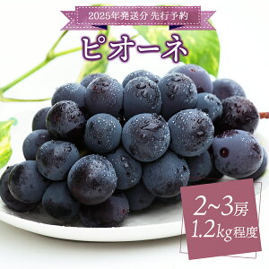 yӂ邳Ɣ[Łz2025N tIԋ߁sI[l 1.2kgȏi2`3[j 2025N9{珇\ 嗱 x t[c ʕ   Ԃǂ uhE  R  lC