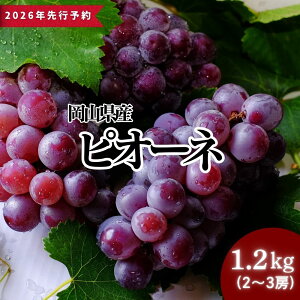 yӂ邳Ɣ[Łz2026Ns\񁄉RY sI[l 1.2kgȏi2`3[j 2026N9{珇\ 嗱 x t[c ʕ   Ԃǂ uhE  R  l