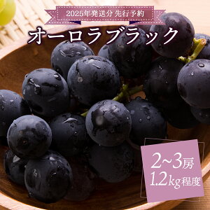 yӂ邳Ɣ[ŁzIԋ9/28tI2025N RY I[ubN 1.2kgȏi2`3[j 嗱 햳 x  t[c ʕ  Ԃǂ uhE  R  lC 