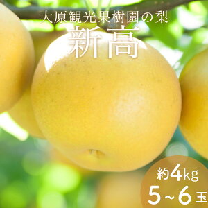 yӂ邳Ɣ[Łzy2025Ns\zm匴όʎnRY {̗iVji4kg 5`6ʁj