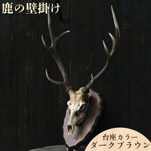 yӂ邳Ɣ[ŁzIׂJ[ ̕Ǌ|(i`/_[NuE)