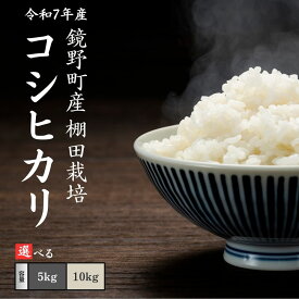 【ふるさと納税】≪選べる容量≫ 令和7年産 鏡野町産 棚田米 コシヒカリ 精米5〜10kg｜数量限定 米 お米 こめ コメ コシヒカリ こしひかり ブランド米 岡山県 鏡野町産 送料無料