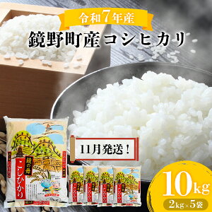 yӂ邳Ɣ[Łz2025Nߘa7NYV 쒬YRVqJ  10kgi2kg×5܁jy033-a00zʌ V    R RVqJ Ђ uh R 쒬Y s\