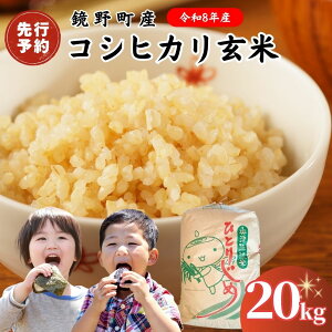 yӂ邳Ɣ[Łzy2026N s\zߘa8NY 쒬Y RVqJ  20kgy033-a013z