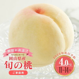 yӂ邳Ɣ[Łz2026Ns\񁄁IׂeʁmȂ΂ӂ[ށnRY {̓mƒpn2.0kgi6`9ʁjor 4.0kgi9`15ʁj | I ӂ邳Ɣ[ t[c   R ʕ 