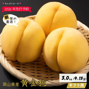 yӂ邳Ɣ[Łz2026Ns\񁄁IׂeʁmȂ΂ӂ[ށnRY mMtgpn 1.5kgi4`6ʁjor 2.0kgi6`9ʁjor 3.0kgi9`13ʁj | I 󏭕i ӂ邳Ɣ[ t[c