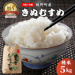 yӂ邳Ɣ[Łzyߘa7NVāz 쒬Y ʂނ 5kgy050-a001zʌ    R ʂނ HLO A  R 쒬 