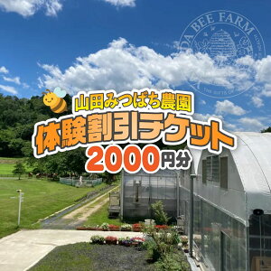 yӂ邳Ɣ[ŁzmRc݂΂_ň`Pbgi2000~j049-a001