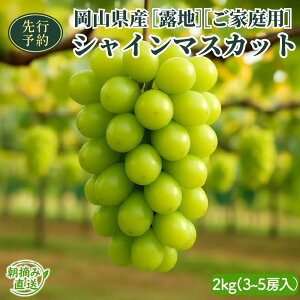 yӂ邳Ɣ[Łzy2025Ns\zmInnRYVC}XJbg 2kg i3`5[jƒp | I ӂ邳Ɣ[  Ԃǂ uhE t[c ʕ 炲  x R 