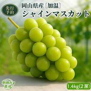 yӂ邳Ɣ[Łzy2026Ns\zmnRYVC}XJbg 700g/1.4kg | 嗱 햳 Ȃ x18xȏ 炲ƐHׂ t[c ʕ  Ԃǂ R  lC 