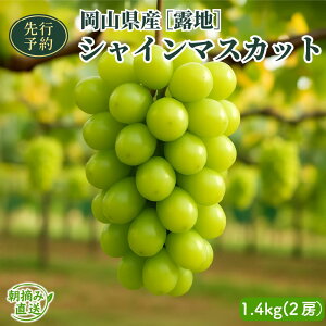 yӂ邳Ɣ[Łzy2025Ns\zmInnRYVC}XJbg 700g/1.4kg | I ӂ邳Ɣ[  Ԃǂ uhE t[c ʕ 炲  x R 