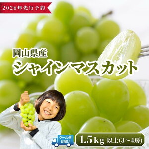 yӂ邳Ɣ[Łzy2026N s\zRY VC}XJbg (600g/1.2kg/1.5kg)yƒpzy025-a034zy025-a035zy025-a036z