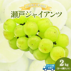 【ふるさと納税】【2026年先行予約】［大原観光果樹園］瀬戸ジャイアンツ 3～4房（約2kg） 026-a016