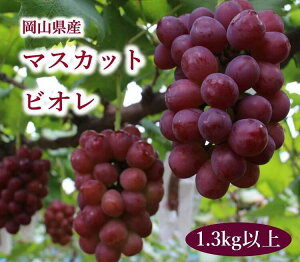 yӂ邳Ɣ[Łz RY Ԃǂ }XJbgrI 1.3kgȏ 10{11{ _A19
