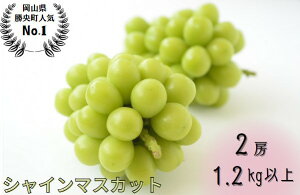 yӂ邳Ɣ[Łz RY Ԃǂ VC}XJbg 1.2kgȏ (2[) 9{10{ _A11